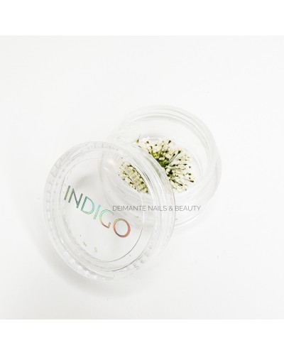 Dried Flower White