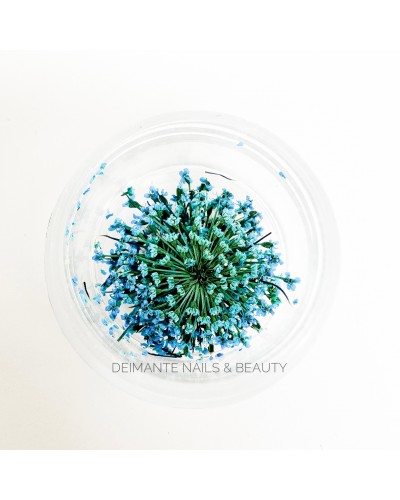 Flores Secos Azul